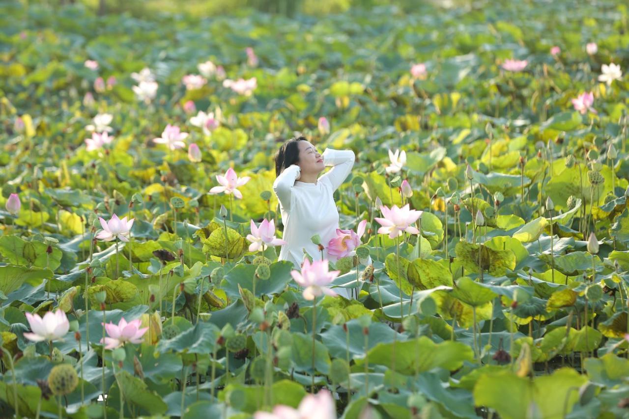 Lotus Hotel Ninh Binh Buitenkant foto