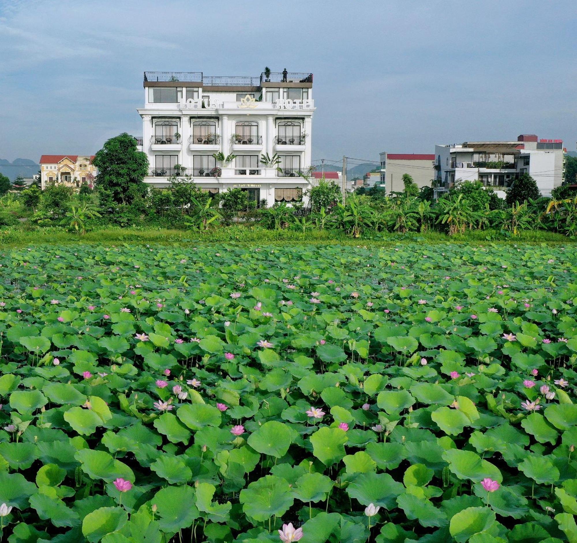 Lotus Hotel Ninh Binh Buitenkant foto